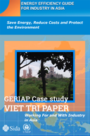 GERIAP case study: Viet Tri Paper